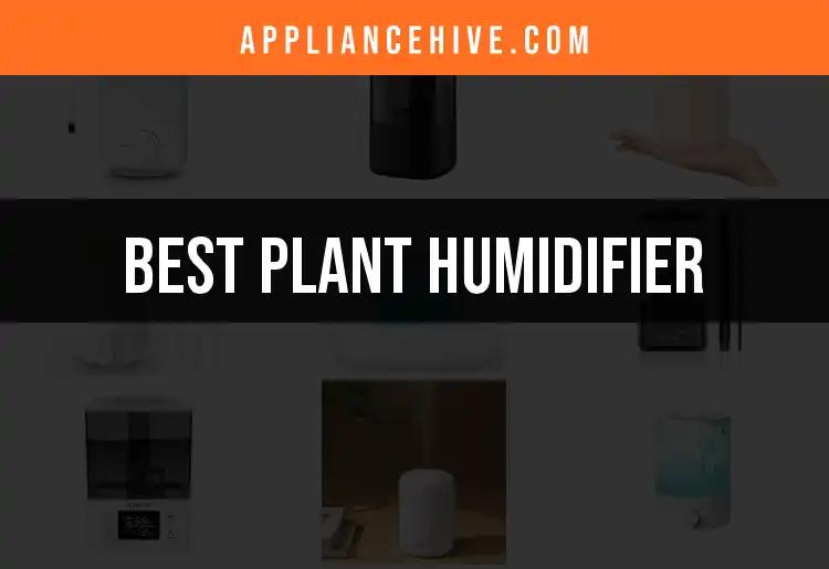 16 Best Plant Humidifiers for Thriving Greenery