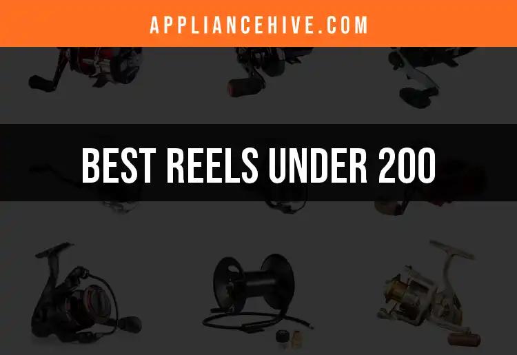 13 Best Reels Under 200 for Every Fishing Enthusiast